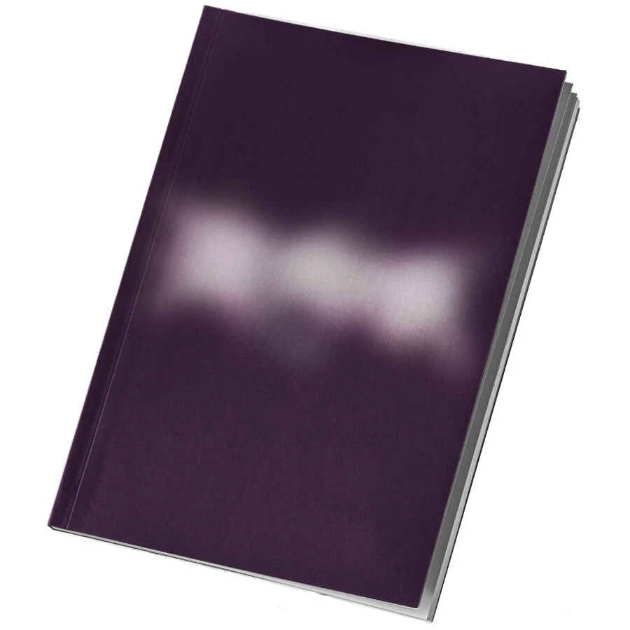 STRAY KIDS -樂/ROCK- STAR Album LIMITED Ver/CD+Photo Book+2