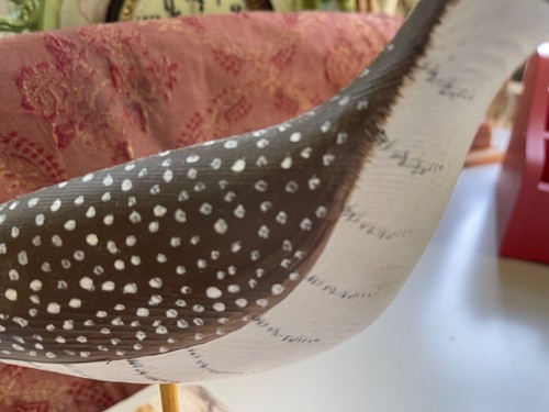 Sandpiper Decoy Wooden Vintage - Picture 19 of 20