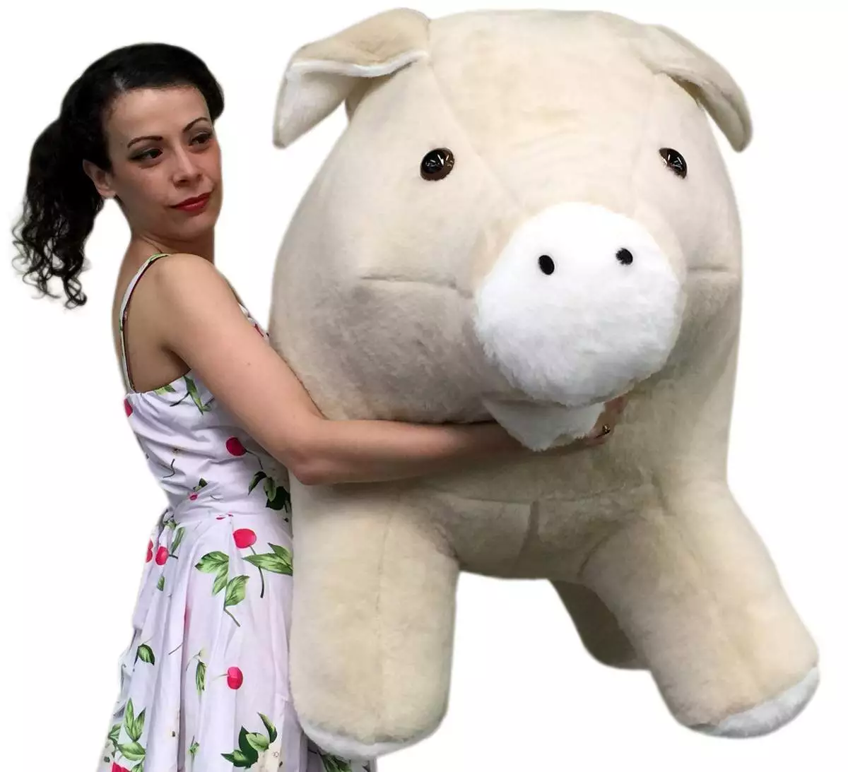 Big pig best sale teddy