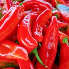 Red Marconi Sweet Pepper Seeds 50+ Vegetable Garden NON-GMO USA FREE SHIPPING