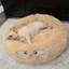 thumbnail 6 - Pet Dog Cat Calming Bed Round Nest Puppy Warm Soft Plush Comfortable F Sleeping