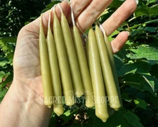 Pure Bayberry Mini Taper Candles Hand-Dipped Yule Christmas New Years Prosperity