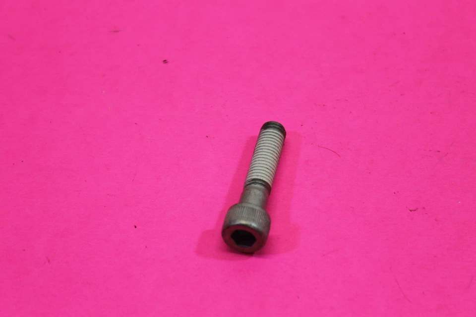 NUEVO DE LOTE POLARIS VICTORIA CLÁSICO CRUCERO TORNILLO CANTIDAD 1 PIEZA # 7518122 Foto 2 de 4