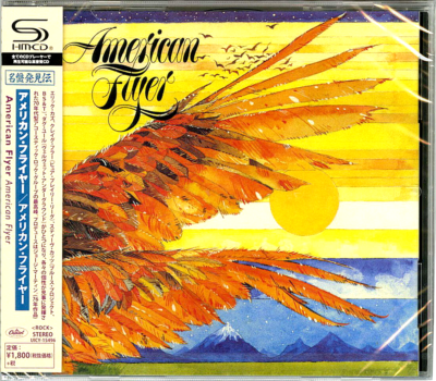 Vintage AMERICAN FLYER アメリカンフライヤー 木製ソリ そり 雪遊び