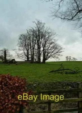 Photo 6x4 Storm Damage by Redfield Twynholm 2 c2014