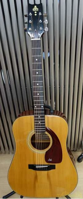 上品 TAKEHARU GUITAR WT-150 アコースティックギター - www.anasac.com