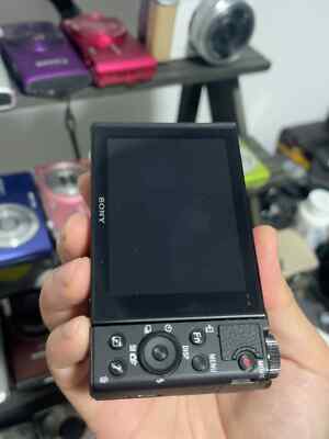 Sony Cyber-Shot DSC-WX500 18.2MP Digital Camera English