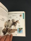 Foto 2 di 3