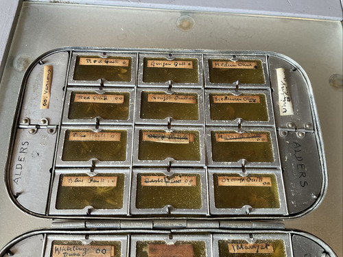 AN EARLY VINTAGE 32 COMPARTMENT DRY FLY TIN + CONTENTS - Picture 3 of 10