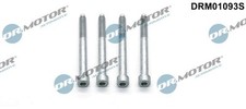 Fits DR. MOTOR DRM01093S INJECTOR SCREW CITROEN C5 2.2HDI 09- 4PCS.  ⭐UK Stock⭐