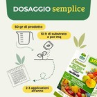 Foto 3 di 10