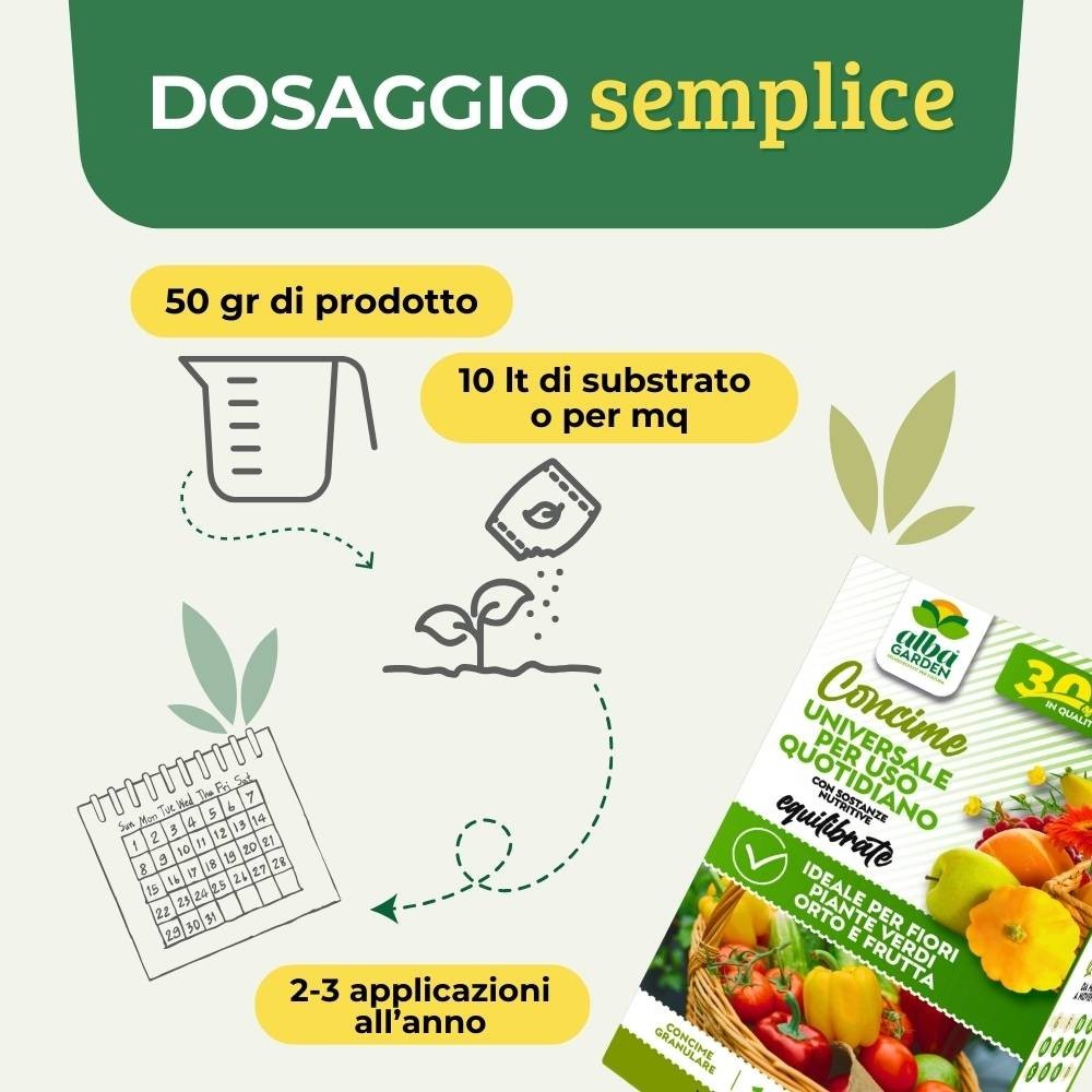 Foto 3 di 10