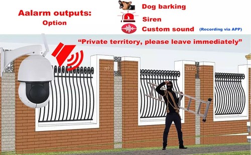 Camhi 36x Zoom 4K 8MP PoE WiFi Humanoid Tracking SD Card MIC PTZ Speed IP Camera - Picture 8 of 15