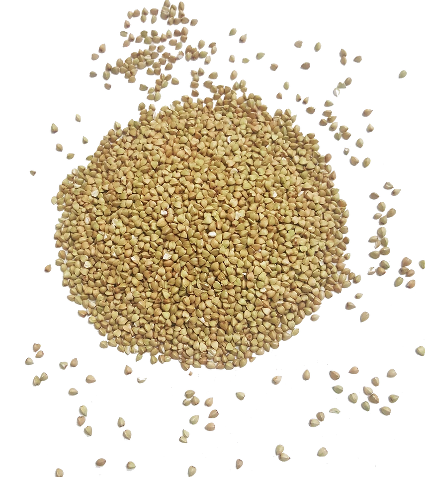 Certified USDA Organic Buckwheat Groats non-GMO, Vegan, Raw, Bulk Product of USA - Image 2 of 4