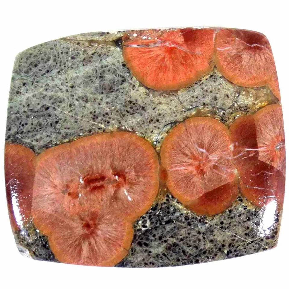 24.25Cts. 23X26X5mm 100% Natural Designer Peanut Obsidian Cushion Cab Gemstone - Imagem 2 de 4