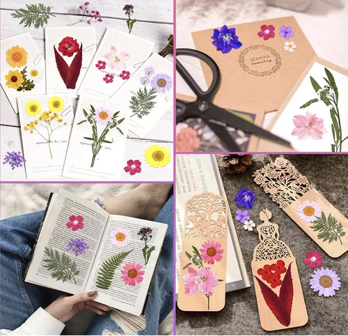 Dried Pressed Flowers Natural Epoxy Resin Candle Nail Art Scrapbooking Craft AU - Picture 11 of 210