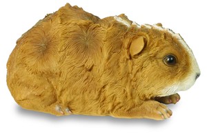 Resin Brown White Rough Haired Guinea Pig Ornament Figure