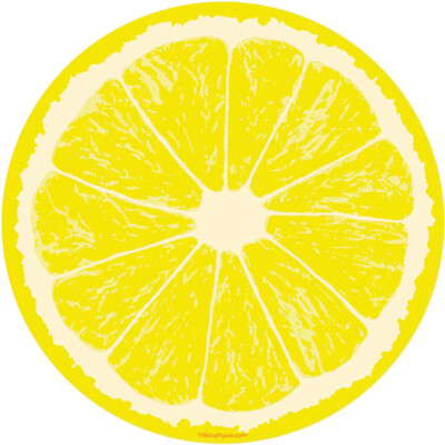Lemon Fruit Slice Citrus Kitchen Wall Decal Retro Decor