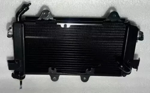 Radiador completo sin ventilador apto para el modelo Ktm Duke 390 Duke 250 2017-2020 Foto 2 de 4