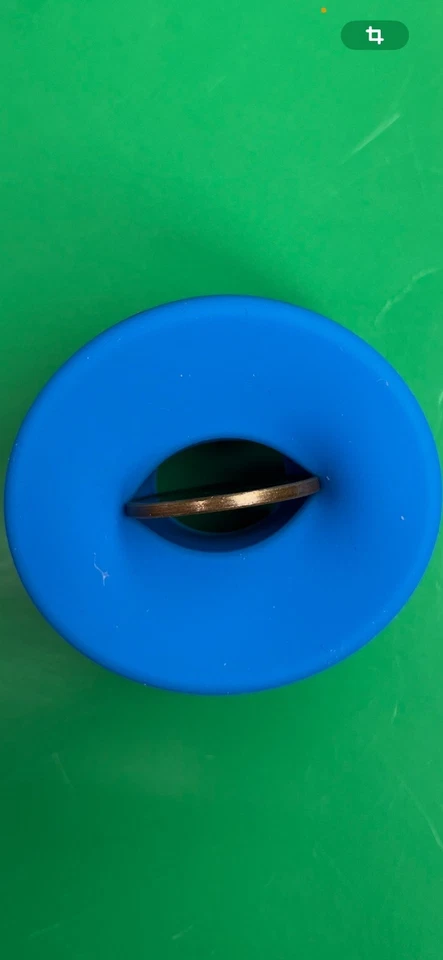 2000 P Sacagawea Dollar  Native American Series (Great Condition) - Image 3 of 3