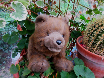 Großes Braunbär Plüschtier von der Breite Treppe Kent gut erzogen & kuschelig