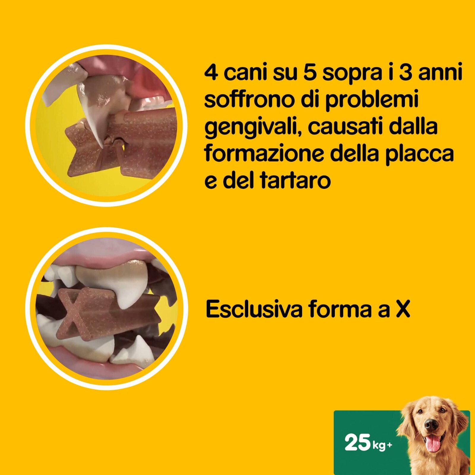 Foto 3 di 8