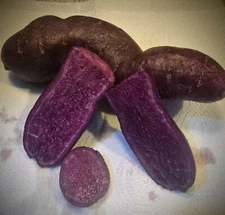 Sweet Potato Seed Purple Japanese 2 Lb Tubers Hawaiian Potatoes Planting Slips