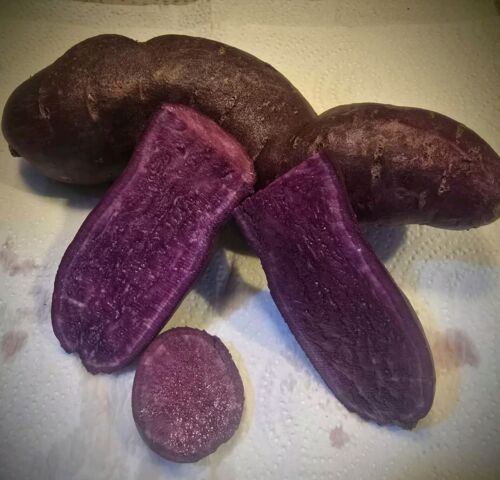 Sweet Potato Purple 3 Lb Organic Tuber Yam Grow Slips Plants Hawaiian Potatoes