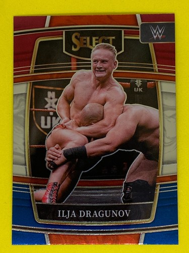 WWE Panini Select Red and Blue Concourse Wrestling Card Pick Your Own Base Cards - Picture 46 of 72