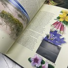 Picture 14 of 14