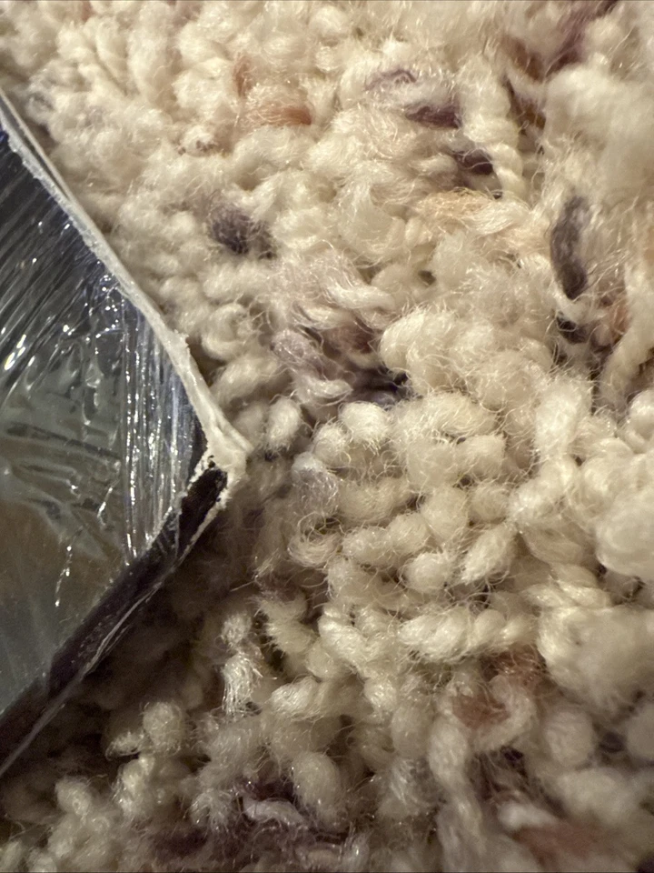 RICK SPRINGFIELD - JESSIE’S GIRL 40th ANNIVERSARY Vinyl LP Record NEW SEALED - Image 4 of 4