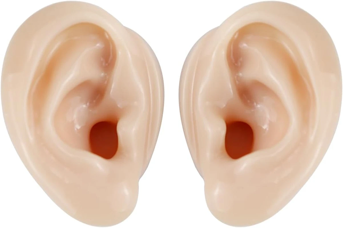 2 Pcs Silicone Ear Model, Fake Ear Models Left and Right Soft Flexible Model image 12