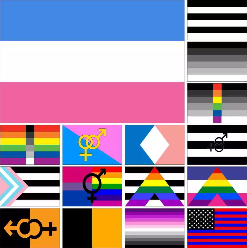 LGBT Heterosexual Flag Super Straight Pride Ally America Chaser Queerhet