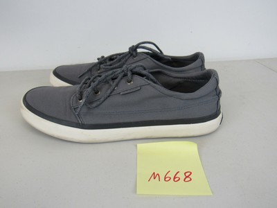 sperry coastline blucher