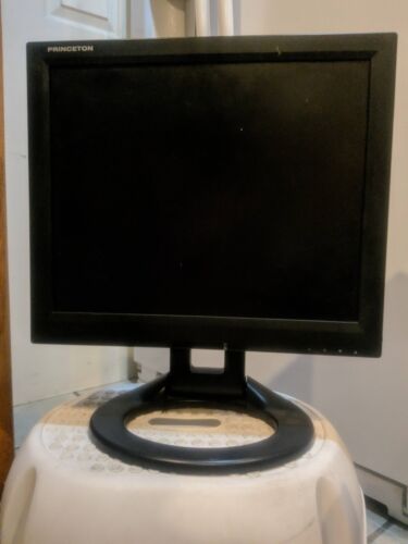 Princeton VL1717 Computer Monitor LCD 19inch Good Working Condition. - 00418 - Picture 7 of 11