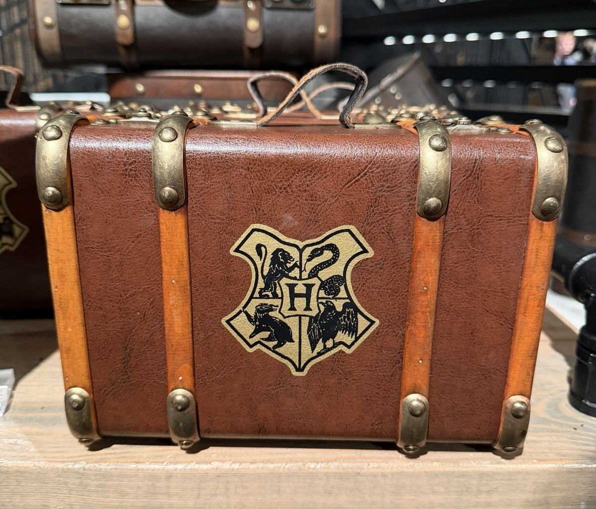 Harry Potter Hogwarts School Mini Trunk SMALL Leather Wood Luggage