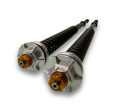 Andreani MISANO Plug&Play-Tonabnehmer Sh49 Harley Davidson FLH/FLT Tou 2013 2023