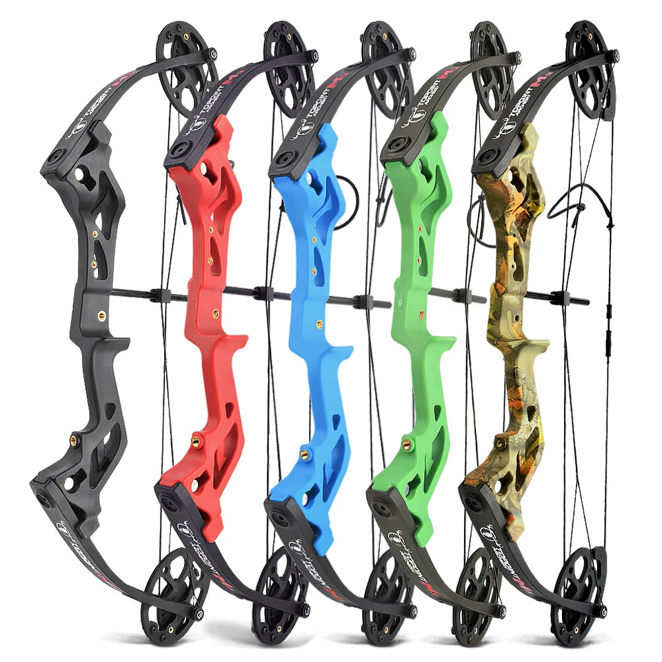 Kids Archery Compound Bow Kit Arrows 10-30lbs Sport Shooting HuntingTarget - Image 2 of 4