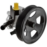 NTY Hydraulikpumpe Lenkung Servopumpe FüR Hyundai Santa Fé II CM 2.7 V6 GLS 4X4