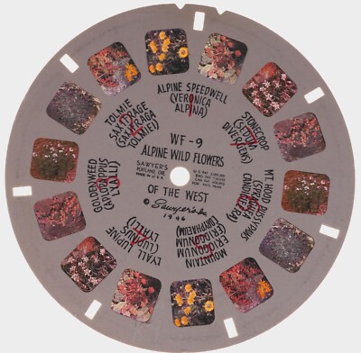 View-Master reel Alpine Wild Flowers of the West WF-9