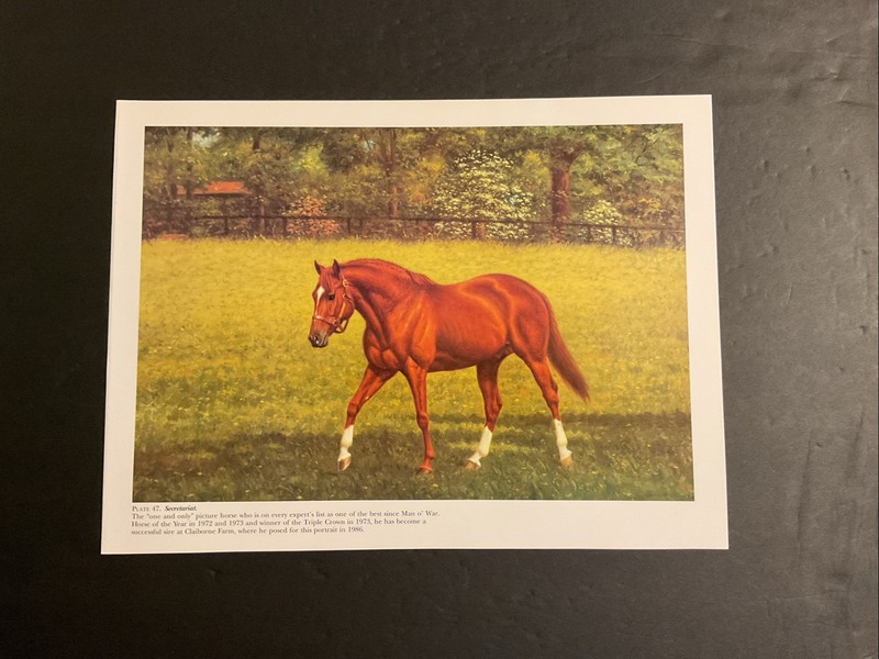SECRETARIAT 15 x 11 Photo  CLAIBORNE FARM Horse Racing 1973 TRIPLE CROWN