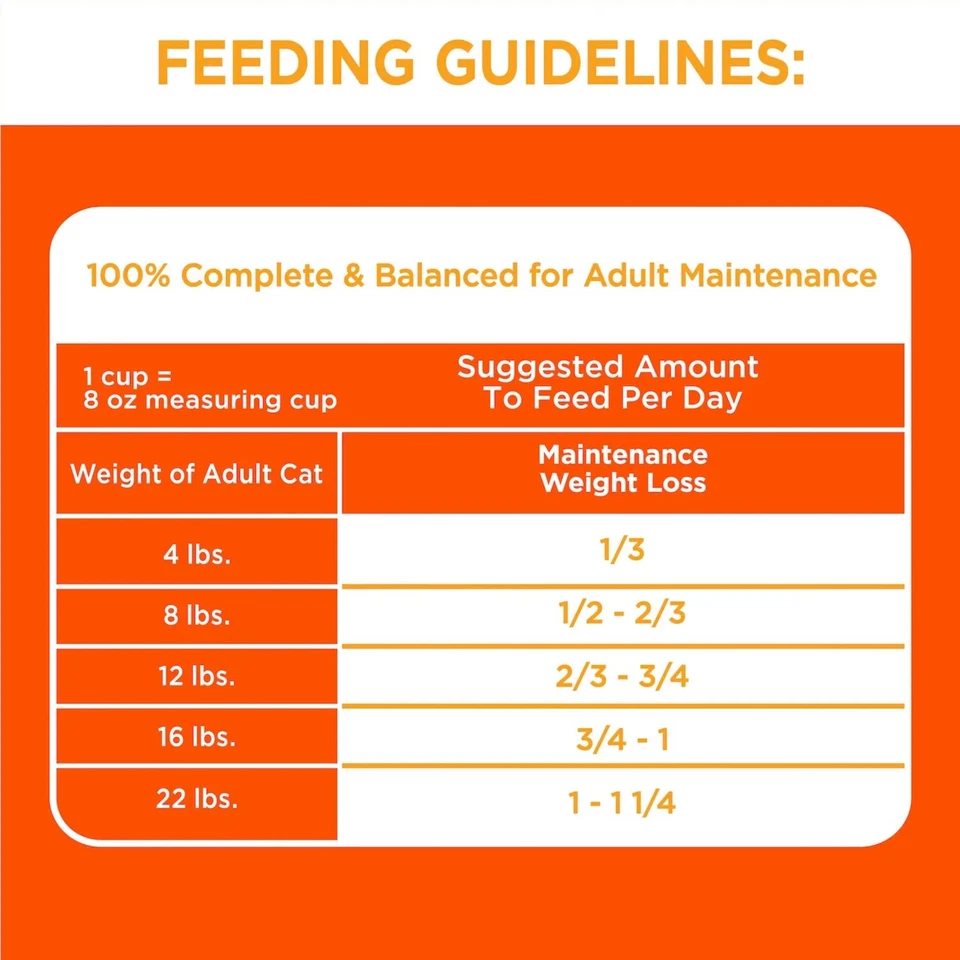 Comida seca para gatos de pollo IAMS Proactive Health, bolsa de 22 lb Foto 4 de 4