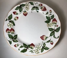 Nikko Spring Valley Dinner Plates 10.25" Casual Living Fine Ware Set of 2