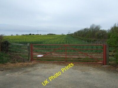 Foto 6x4 Feldeingang bei East Forest Eshott c2015