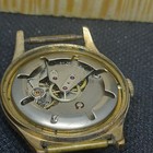 Foto 7 di 10