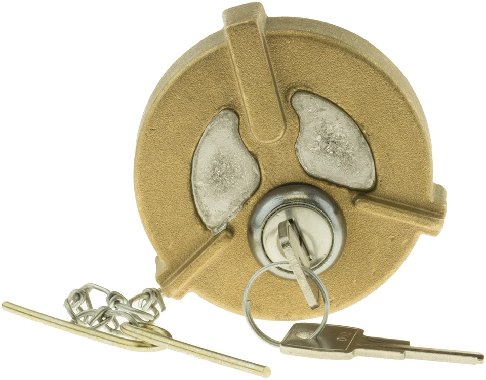 Puertas tapa tanque combustible Freightliner FL80 1994-1999 1995 1996 1997 1998 Foto 4 de 4