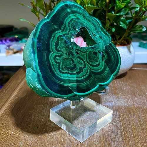 1.16LB Natural Malachite Slices - Vibrant Ribbon Crystals for Collectors - 第 4/14 張圖片