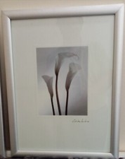 2 X White Flowers Print On Board Glazed Wall Art Print Framed Picture Home Decor