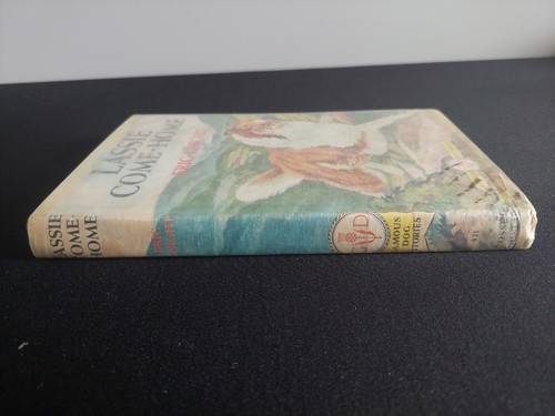 LASSIE COME HOME Book 1940 Famous Dog Stories Eric Knight Hardback w Dust Jacket - Picture 3 of 10