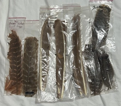 Fly Tying Feathers Lot New Fly Fishing Material Turkey Peacock Wapsi